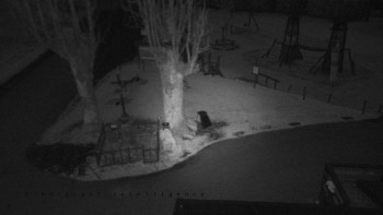 Snímek 7.11.2025 v 06:01