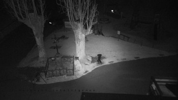 Snímek 7.11.2025 v 17:35