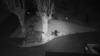 Snímek 7.11.2025 v 17:50