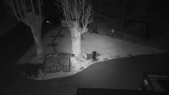 Snímek 7.11.2025 v 18:35