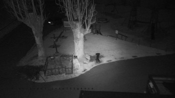 Snímek 7.11.2025 v 20:20