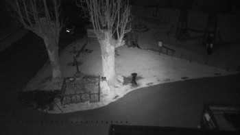 Snímek 7.11.2025 v 22:35