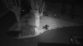 Snímek 8.11.2025 v 00:30