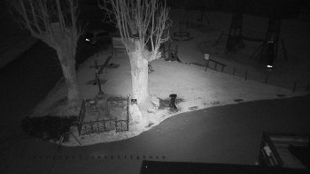 Snímek 8.11.2025 v 03:25