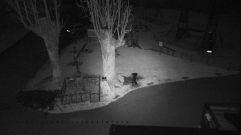 Snímek 8.11.2025 v 04:05