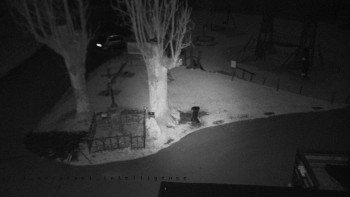 Snímek 8.11.2025 v 05:40