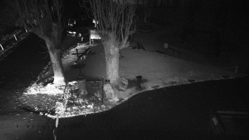 Snímek 8.11.2025 v 20:20