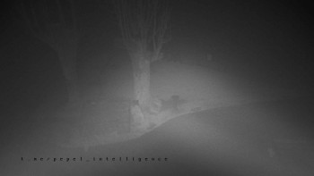 Snímek 9.11.2025 v 19:25