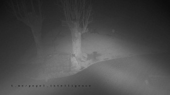 Snímek 9.11.2025 v 20:45