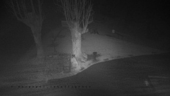 Snímek 10.11.2025 v 22:00