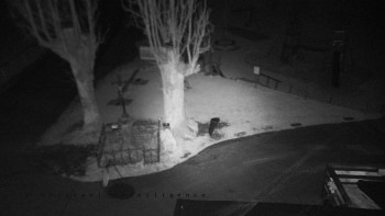 Snímek 11.11.2025 v 17:15