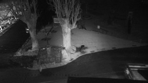 Horský hotel Čarták na Soláni - Pohled na Amfiteatr - 11.11.2025 v 18:01 Horský hotel Čarták na Soláni - Pohled na Amfiteatr - 11.11.2025 v 18:01