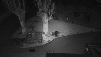 Snímek 12.11.2025 v 16:55