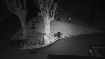 Snímek 13.11.2025 v 01:15