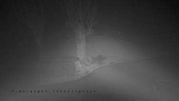 Snímek 13.11.2025 v 05:55