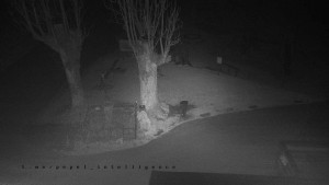 Horský hotel Čarták na Soláni - Pohled na Amfiteatr - 14.11.2025 v 01:25 Horský hotel Čarták na Soláni - Pohled na Amfiteatr - 14.11.2025 v 01:25