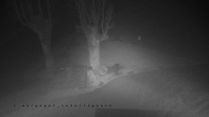 Horský hotel Čarták na Soláni - Pohled na Amfiteatr - 14.11.2025 v 01:40 Horský hotel Čarták na Soláni - Pohled na Amfiteatr - 14.11.2025 v 01:40