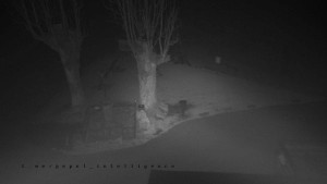 Horský hotel Čarták na Soláni - Pohled na Amfiteatr - 14.11.2025 v 01:50 Horský hotel Čarták na Soláni - Pohled na Amfiteatr - 14.11.2025 v 01:50