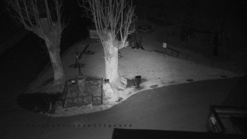 Snímek 14.11.2025 v 02:10