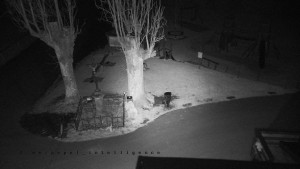 Horský hotel Čarták na Soláni - Pohled na Amfiteatr - 14.11.2025 v 03:05 Horský hotel Čarták na Soláni - Pohled na Amfiteatr - 14.11.2025 v 03:05