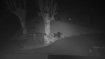 Snímek 14.11.2025 v 19:21