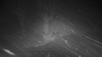 Snímek 17.11.2025 v 21:00