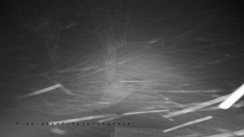 Snímek 17.11.2025 v 22:05