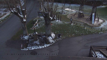 Snímek 18.11.2025 v 16:25