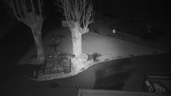 Snímek 18.11.2025 v 19:15