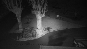 Snímek 18.11.2025 v 19:40