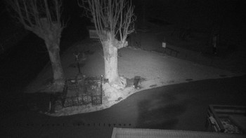 Snímek 18.11.2025 v 23:30