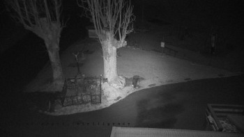 Snímek 19.11.2025 v 01:45