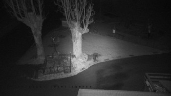 Snímek 19.11.2025 v 03:30