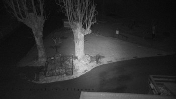 Snímek 19.11.2025 v 05:25