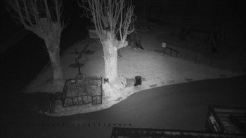 Snímek 20.11.2025 v 01:10