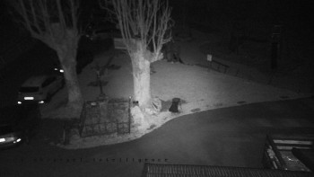 Snímek 20.11.2025 v 22:15