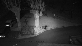 Snímek 21.11.2025 v 05:55