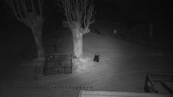 Snímek 21.11.2025 v 21:25