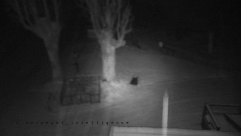 Snímek 22.11.2025 v 00:25