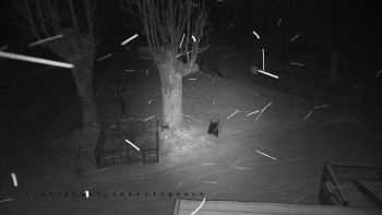 Snímek 22.11.2025 v 00:45