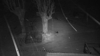 Snímek 22.11.2025 v 04:35