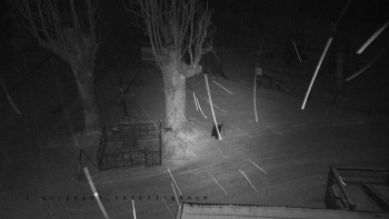 Snímek 22.11.2025 v 06:00