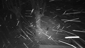 Snímek 22.11.2025 v 21:30