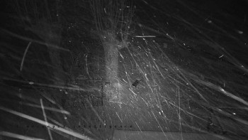 Snímek 23.11.2025 v 01:55