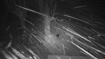 Snímek 23.11.2025 v 03:25