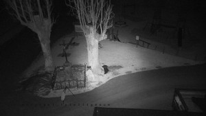 Horský hotel Čarták na Soláni - Pohled na Amfiteatr - 17.12.2025 v 02:05 Horský hotel Čarták na Soláni - Pohled na Amfiteatr - 17.12.2025 v 02:05