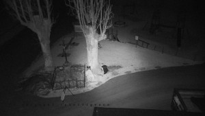 Horský hotel Čarták na Soláni - Pohled na Amfiteatr - 17.12.2025 v 02:50 Horský hotel Čarták na Soláni - Pohled na Amfiteatr - 17.12.2025 v 02:50