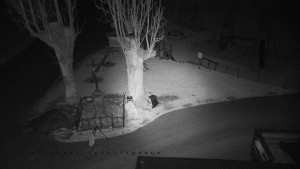 Horský hotel Čarták na Soláni - Pohled na Amfiteatr - 17.12.2025 v 03:20 Horský hotel Čarták na Soláni - Pohled na Amfiteatr - 17.12.2025 v 03:20