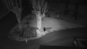 Horský hotel Čarták na Soláni - Pohled na Amfiteatr - 17.12.2025 v 06:35 Horský hotel Čarták na Soláni - Pohled na Amfiteatr - 17.12.2025 v 06:35