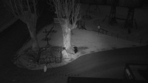 Horský hotel Čarták na Soláni - Pohled na Amfiteatr - 17.12.2025 v 06:40 Horský hotel Čarták na Soláni - Pohled na Amfiteatr - 17.12.2025 v 06:40